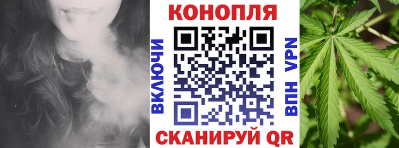 наркотики Куртамыш Каннабис сатива